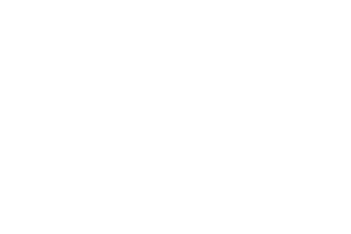 skoiy